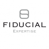 SOCIETE FIDUCIAIRE NATIONALE D'EXPERTISE COMPTABLE FIDEXPERTISE – Expert-comptable logo