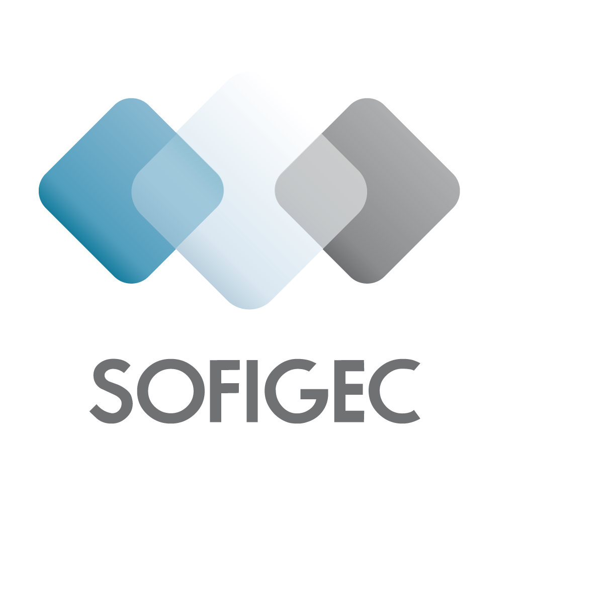 SOCIETE FIDUCIAIRE DE GESTION ET D'EXPERTISE COMPTABLE – Expert-comptable logo