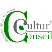 CULTUR'CONSEIL – Expert-comptable logo