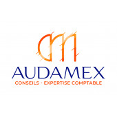 AMVDA EXPERTISE CONSEIL – Expert-comptable logo